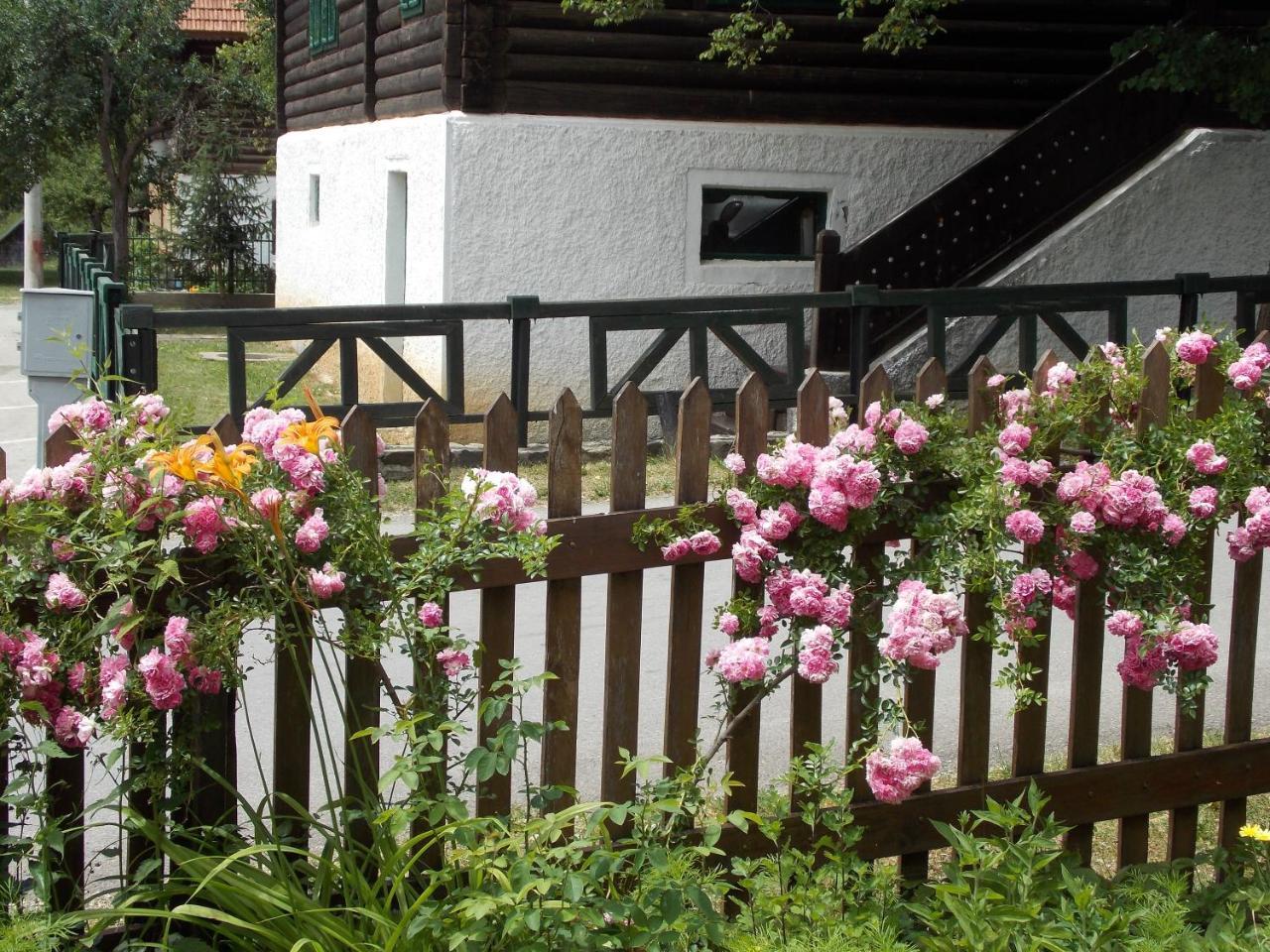 Apartment Matogi Мокра Гора Екстер'єр фото
